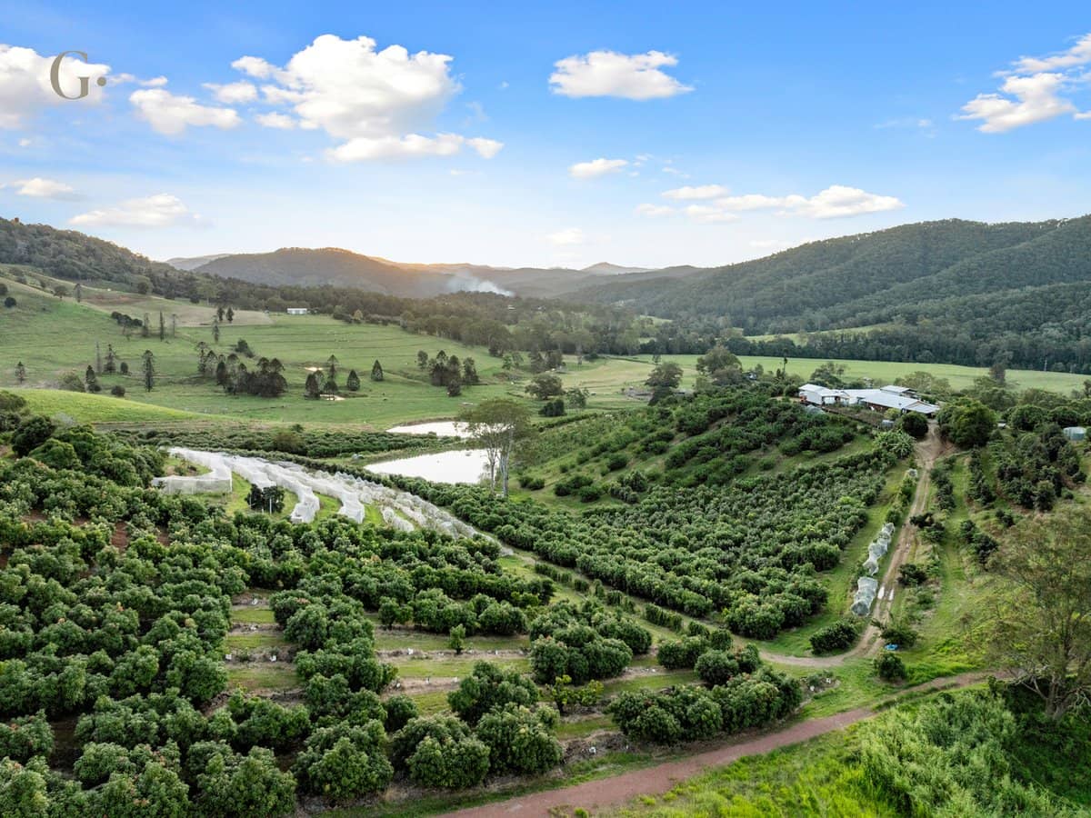 1207 Kandanga Creek Road, UPPER KANDANGA - Thumbnail 22