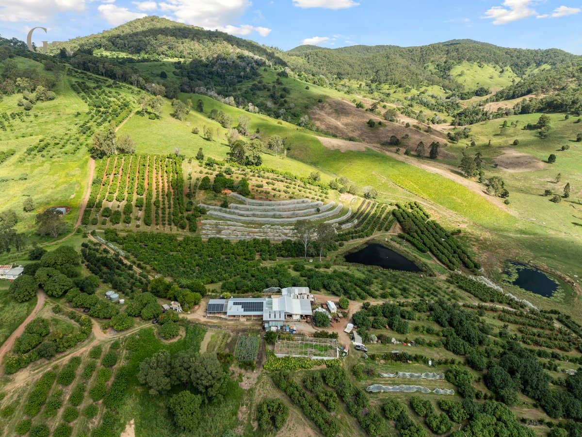 1207 Kandanga Creek Road, UPPER KANDANGA - Thumbnail 24