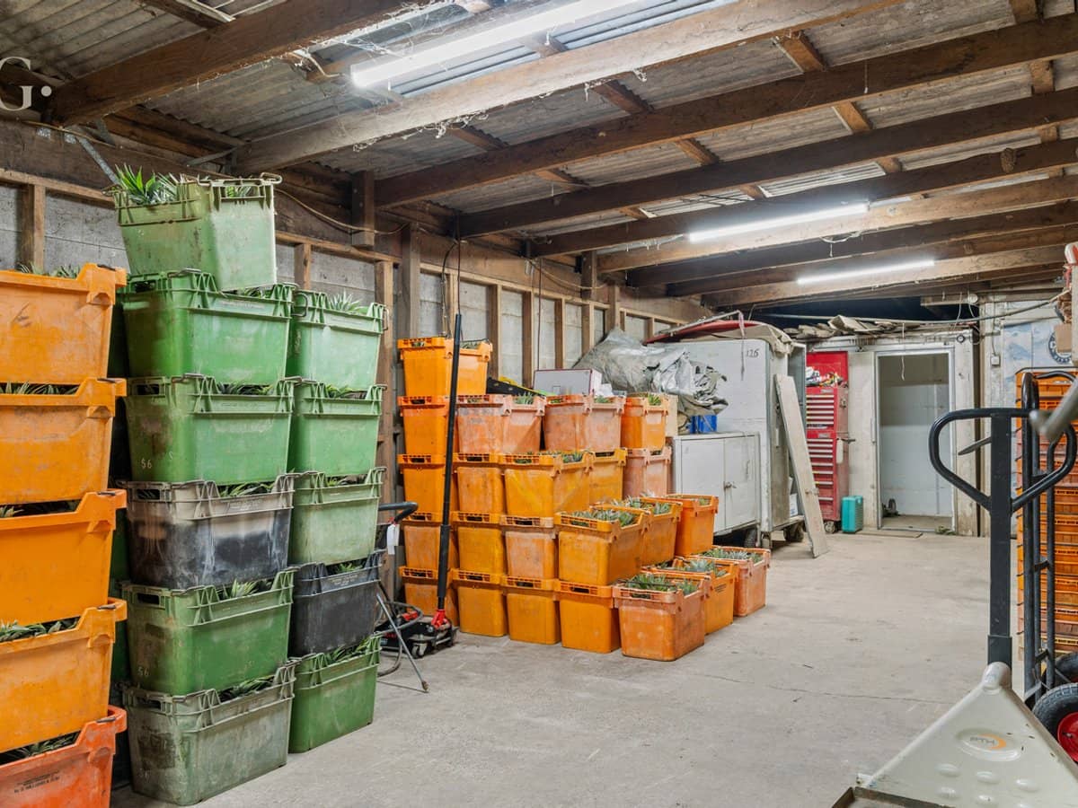 1207 Kandanga Creek Road, UPPER KANDANGA - Thumbnail 27