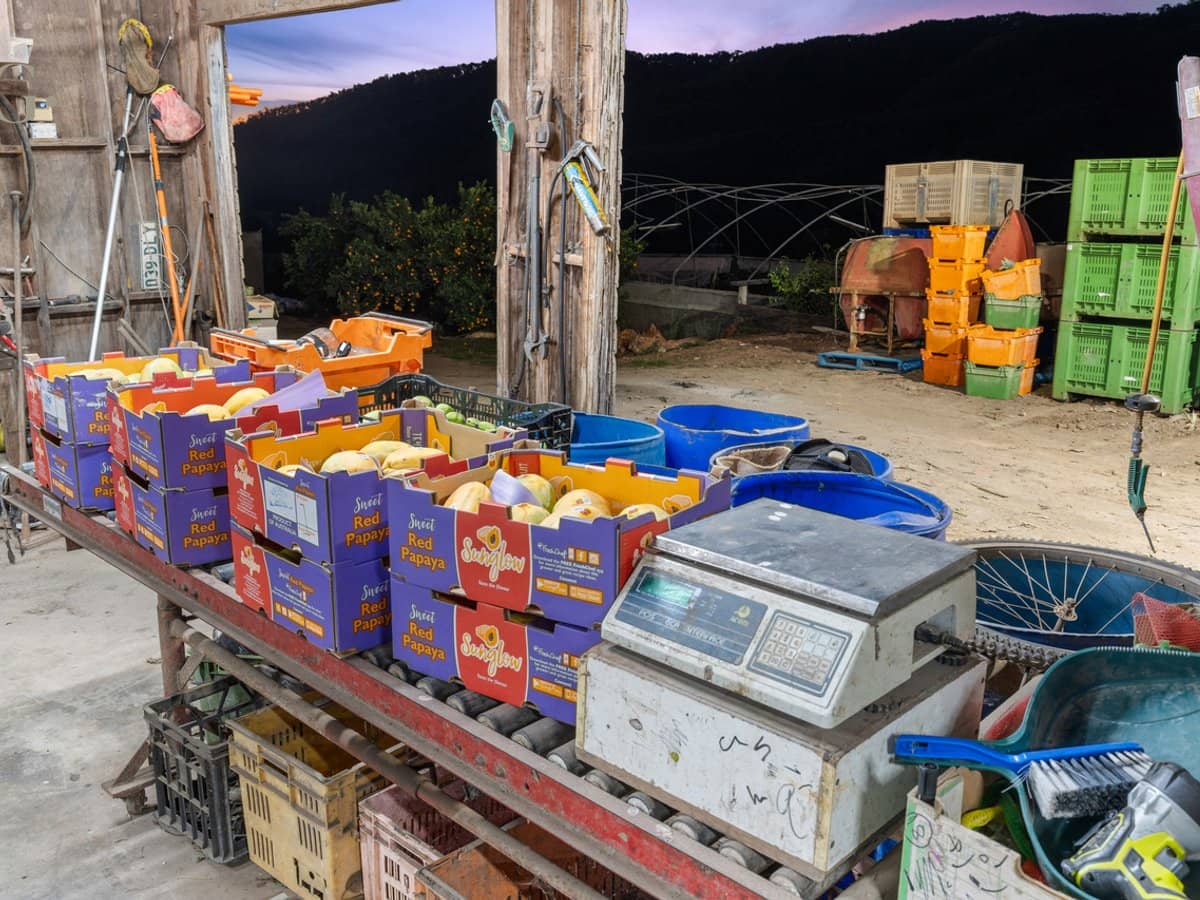 1207 Kandanga Creek Road, UPPER KANDANGA - Thumbnail 28