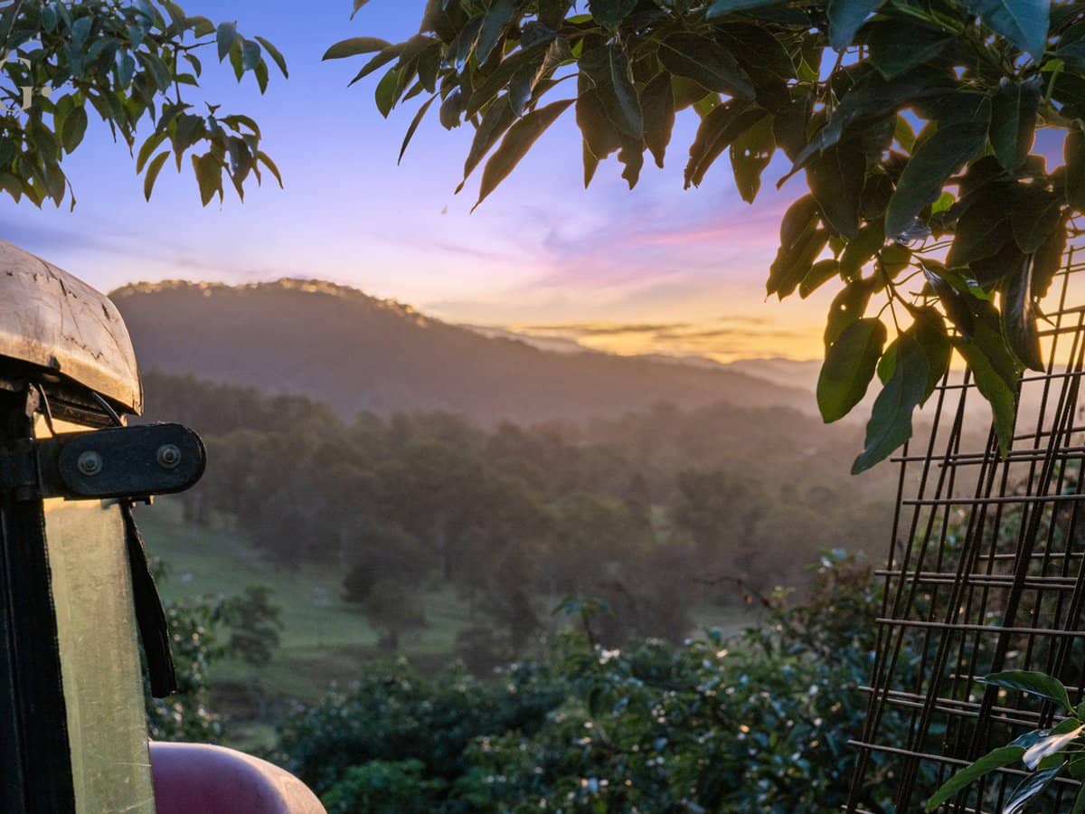 1207 Kandanga Creek Road, UPPER KANDANGA - Thumbnail 34