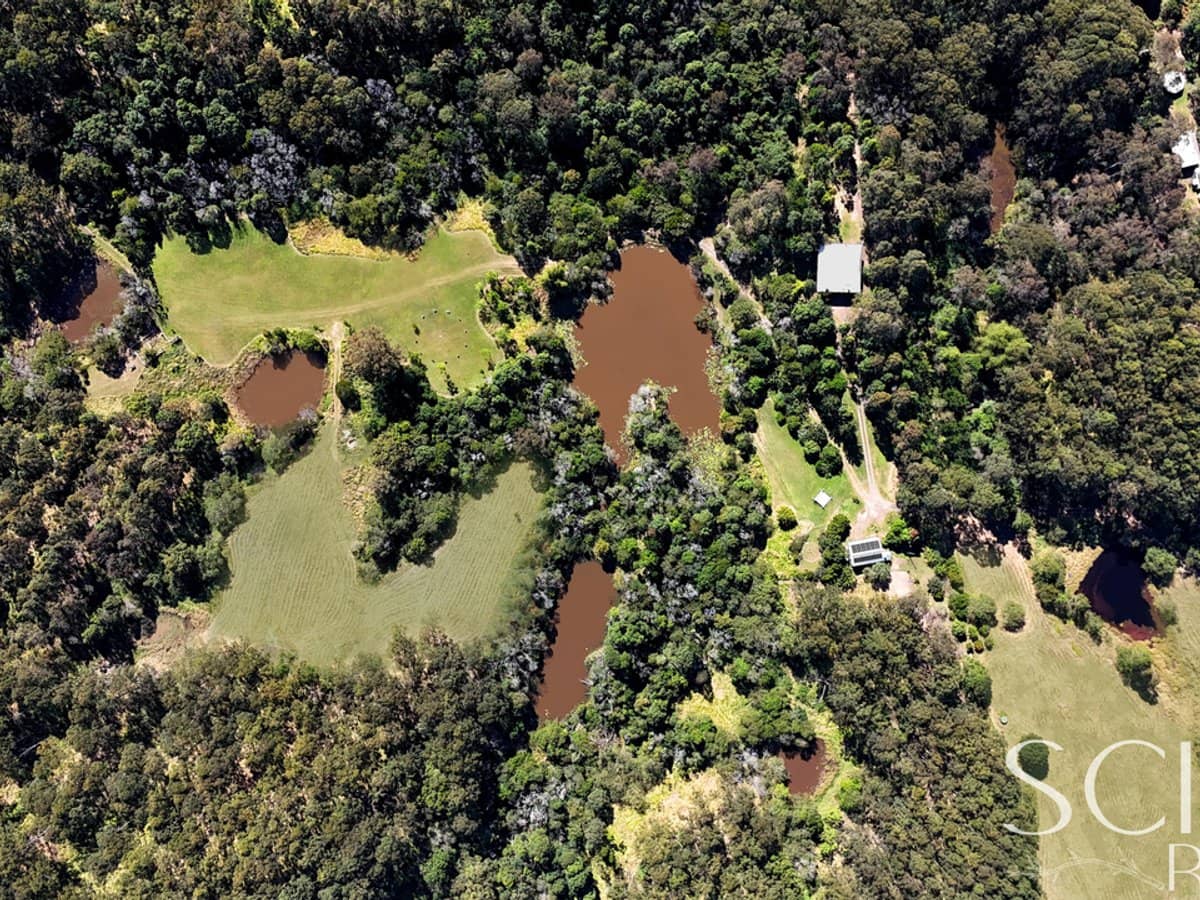 121 Buckley Road, KIN KIN - Thumbnail 3