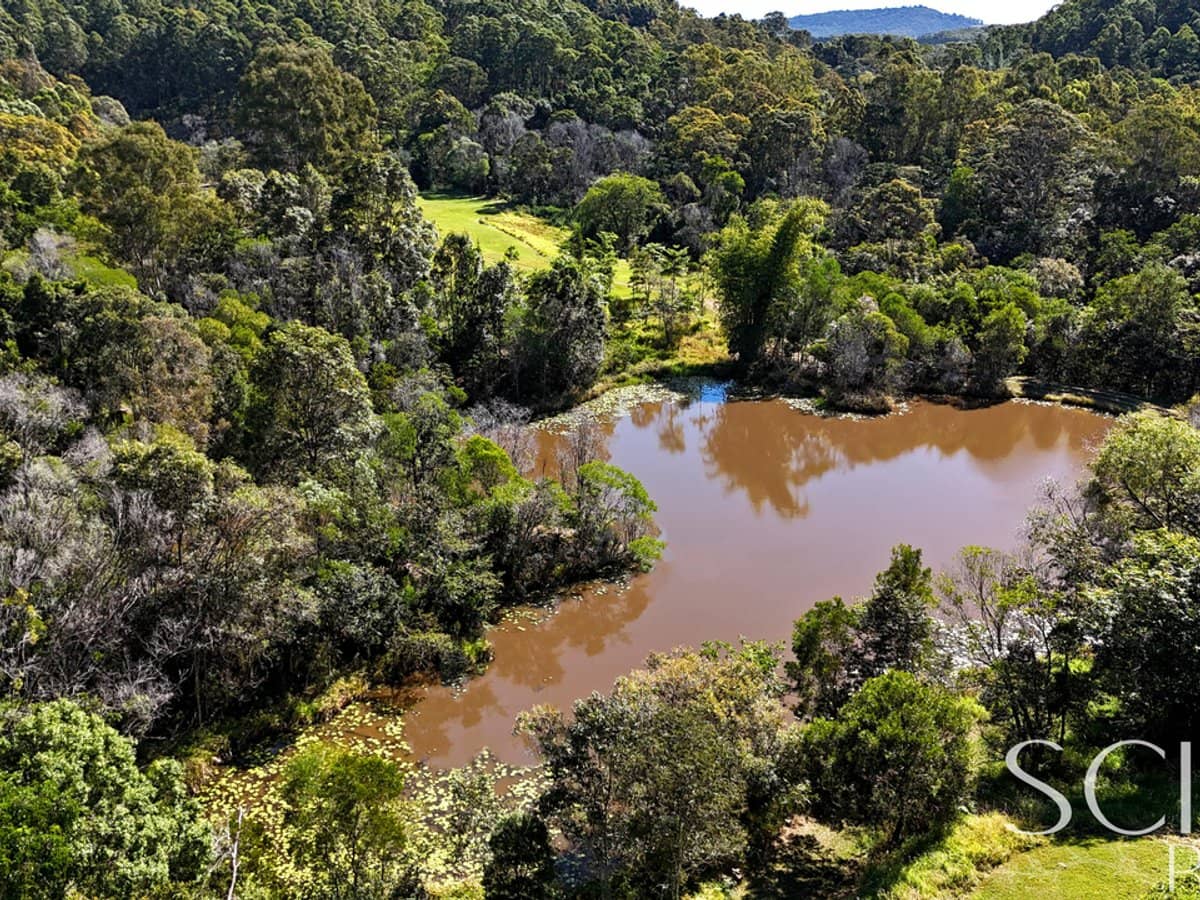 121 Buckley Road, KIN KIN - Thumbnail 23