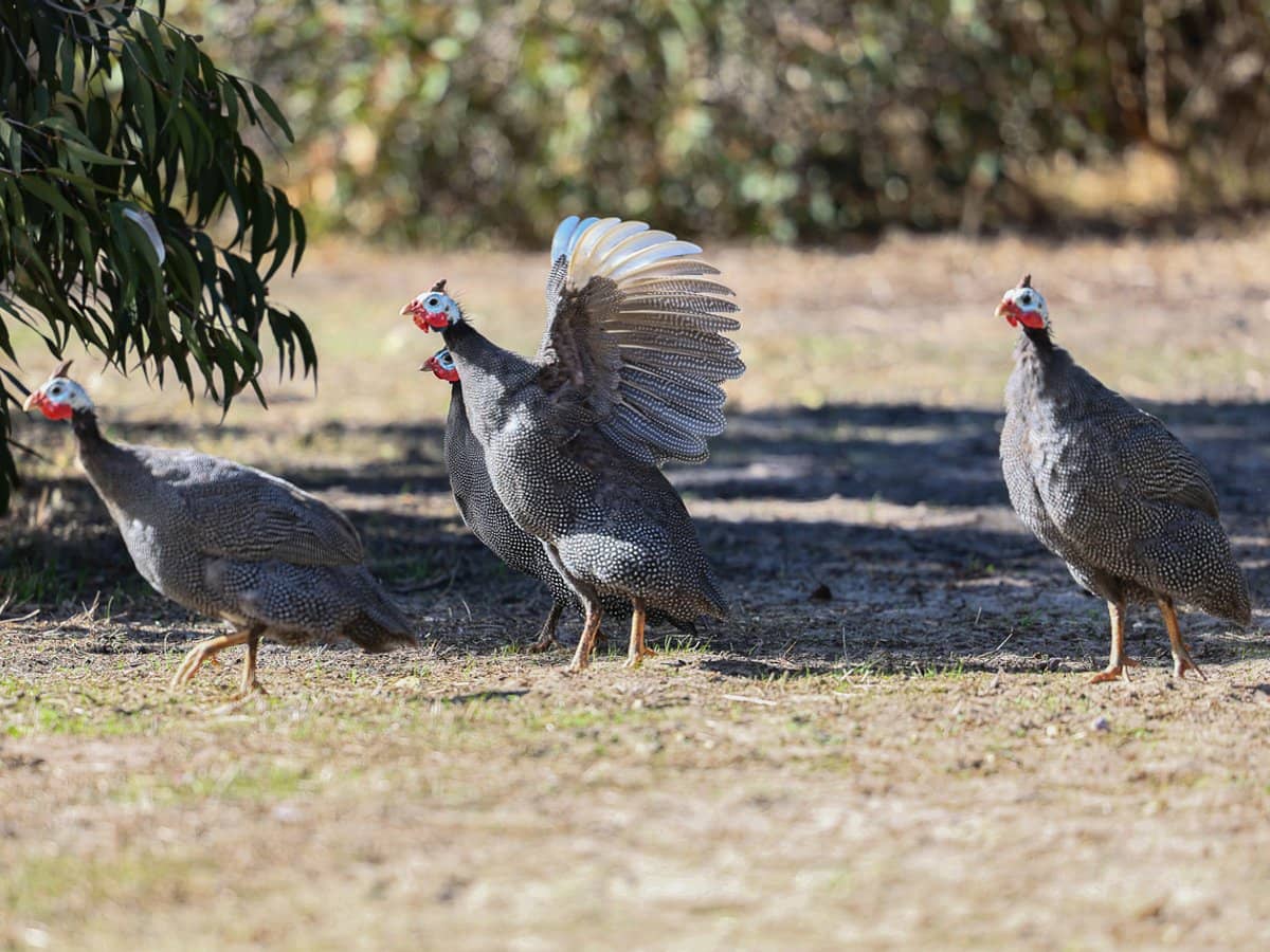 93 American River Road, HAINES - Thumbnail 23