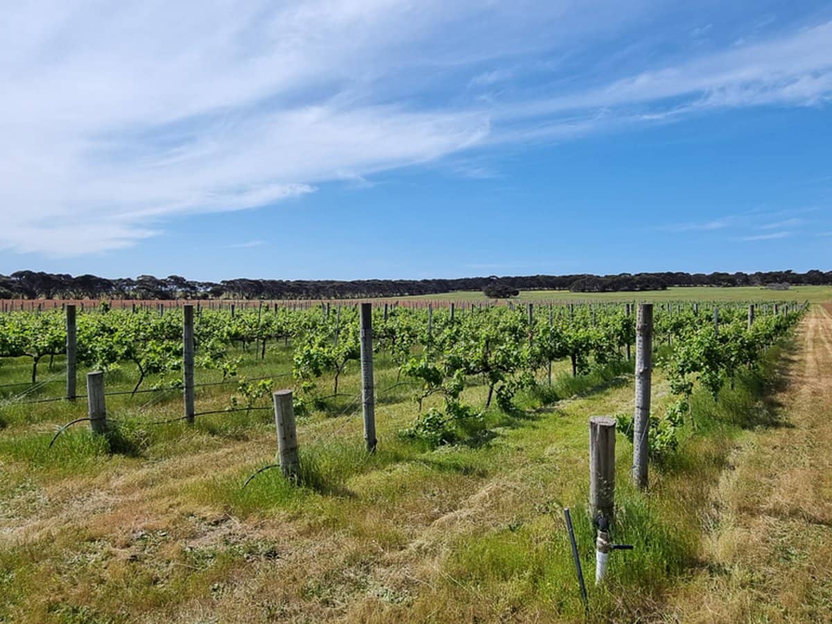 93 American River Road, HAINES - Thumbnail 24