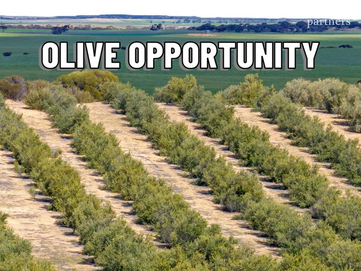 1575 Kringin Road, KARTE - Thumbnail 1