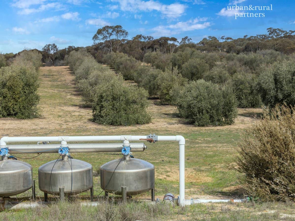 1575 Kringin Road, KARTE - Thumbnail 2