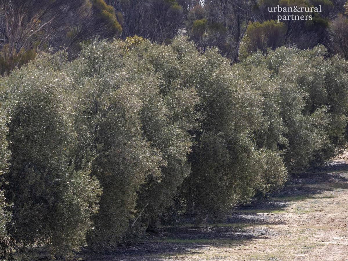 1575 Kringin Road, KARTE - Thumbnail 3