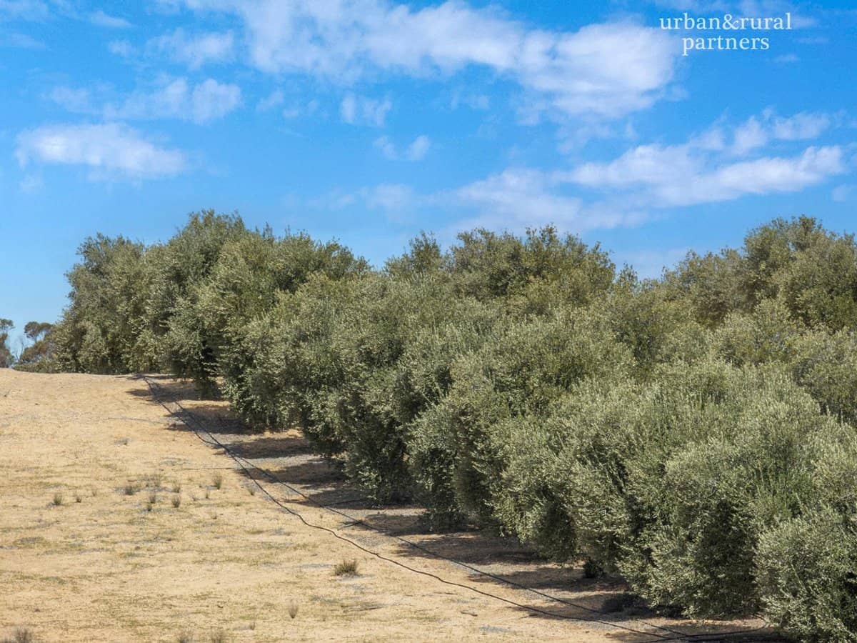 1575 Kringin Road, KARTE - Thumbnail 4