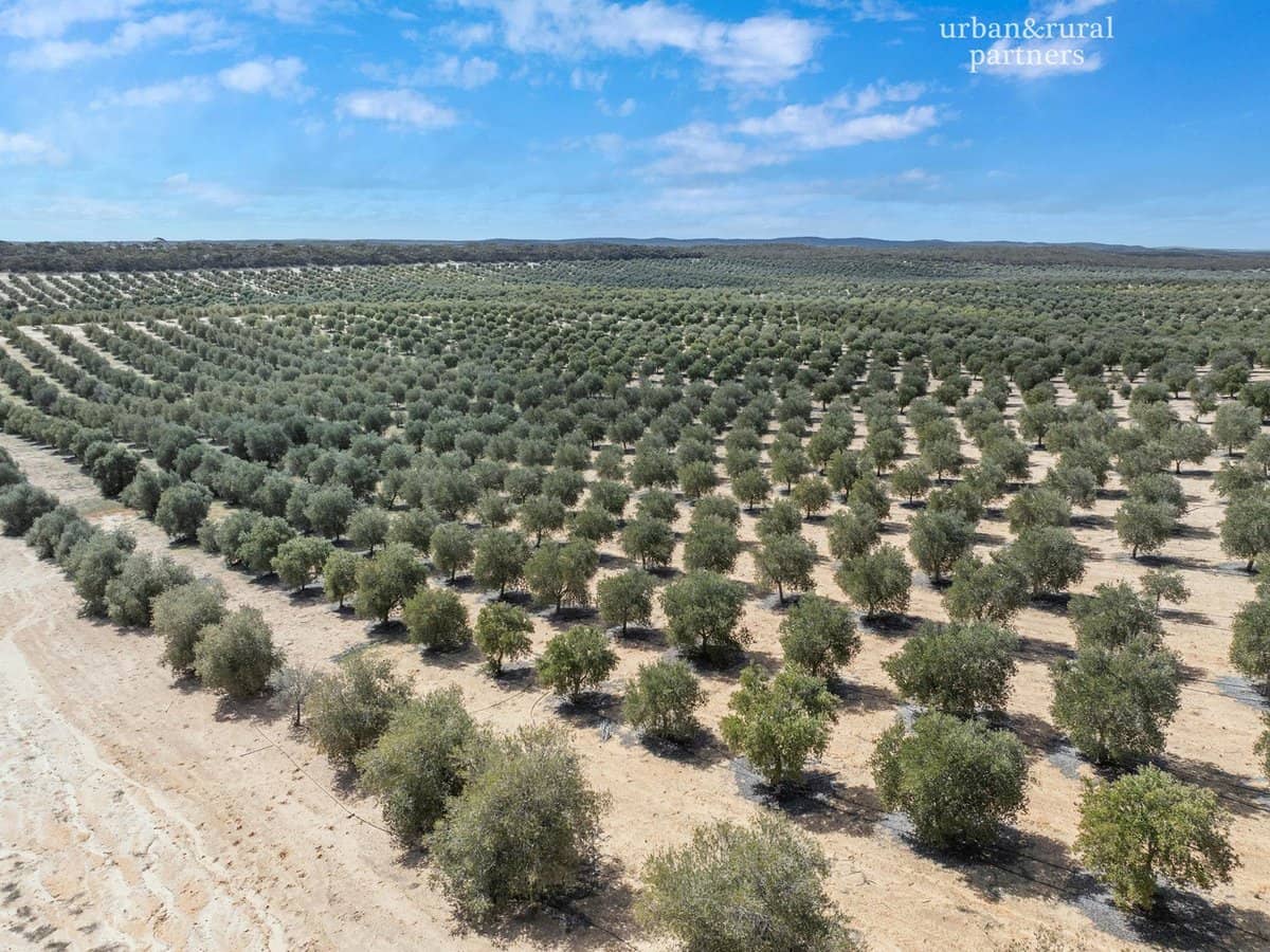 1575 Kringin Road, KARTE - Thumbnail 5