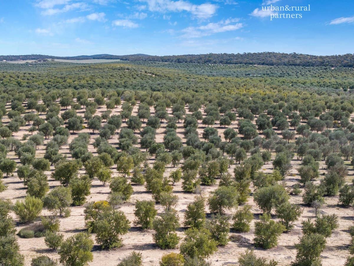 1575 Kringin Road, KARTE - Thumbnail 6