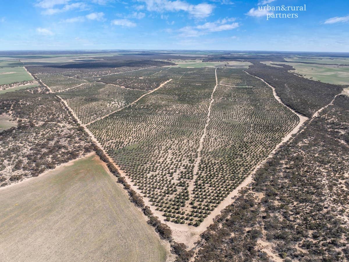 1575 Kringin Road, KARTE - Thumbnail 7