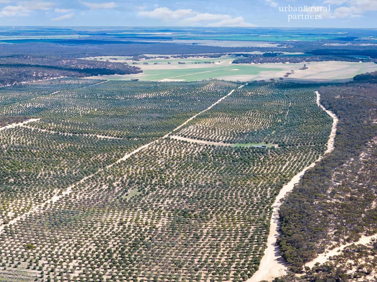 1575 Kringin Road, KARTE - Thumbnail 8