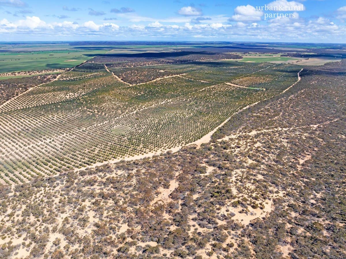 1575 Kringin Road, KARTE - Thumbnail 10