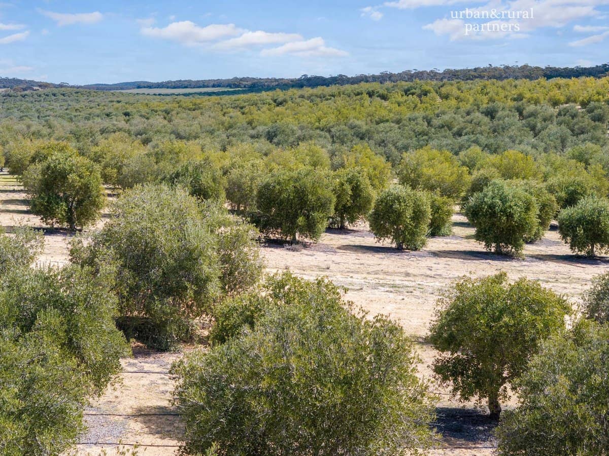 1575 Kringin Road, KARTE - Thumbnail 11