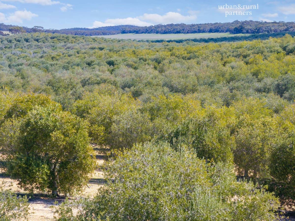 1575 Kringin Road, KARTE - Thumbnail 12