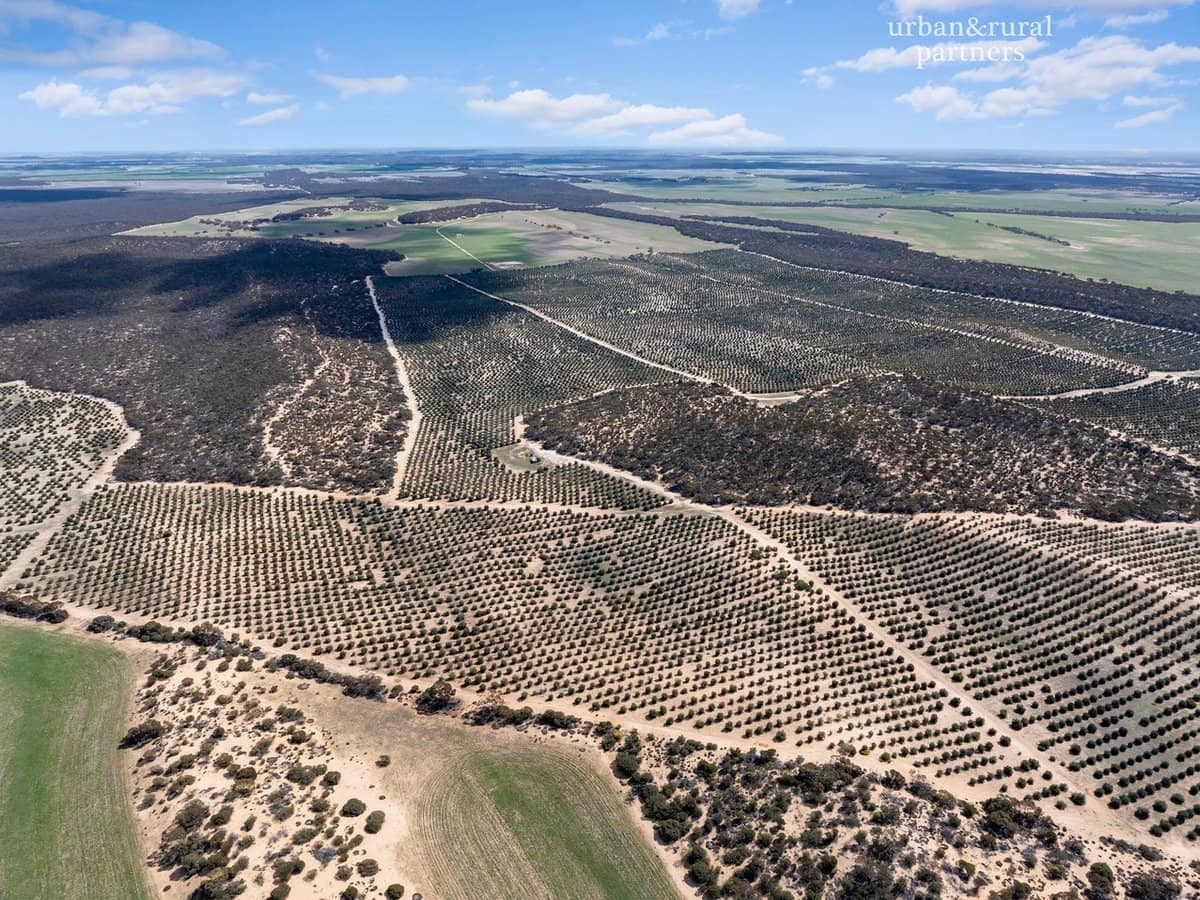 1575 Kringin Road, KARTE - Thumbnail 13