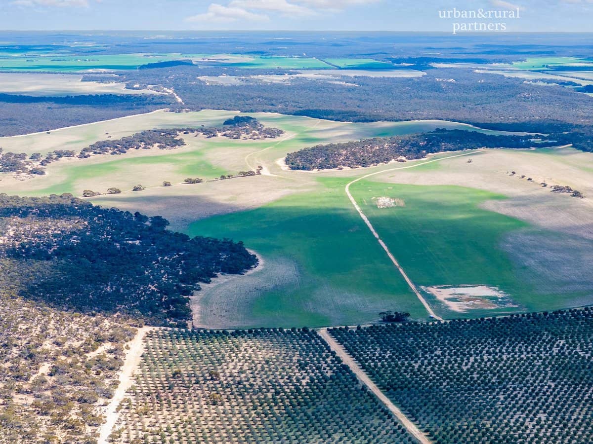 1575 Kringin Road, KARTE - Thumbnail 14