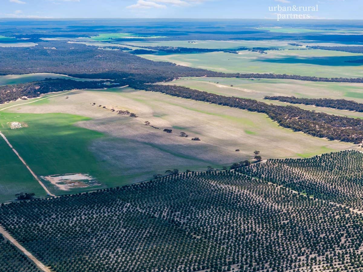 1575 Kringin Road, KARTE - Thumbnail 15