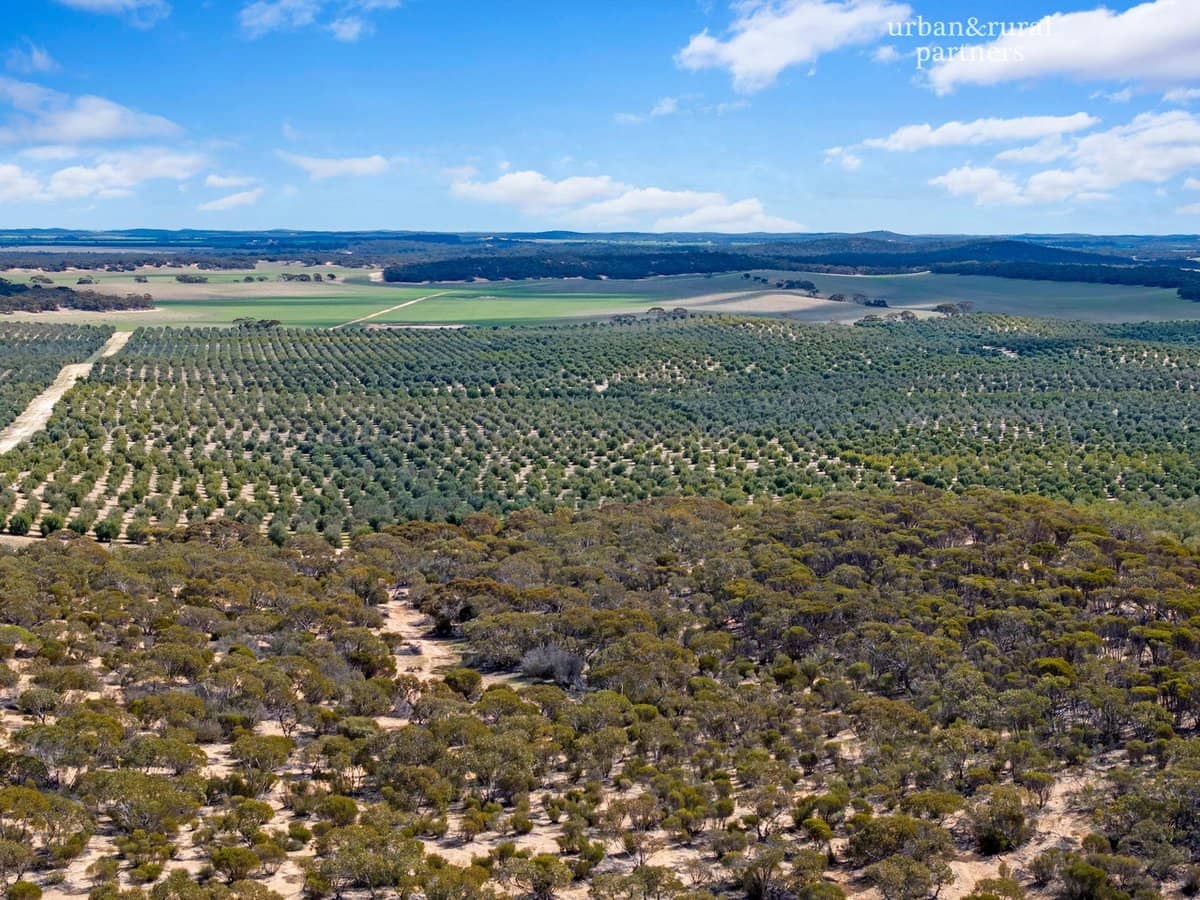 1575 Kringin Road, KARTE - Thumbnail 17