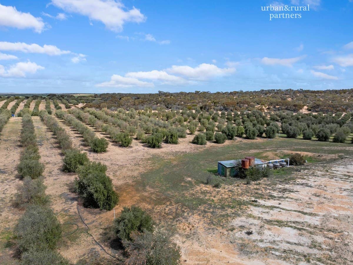 1575 Kringin Road, KARTE - Thumbnail 18