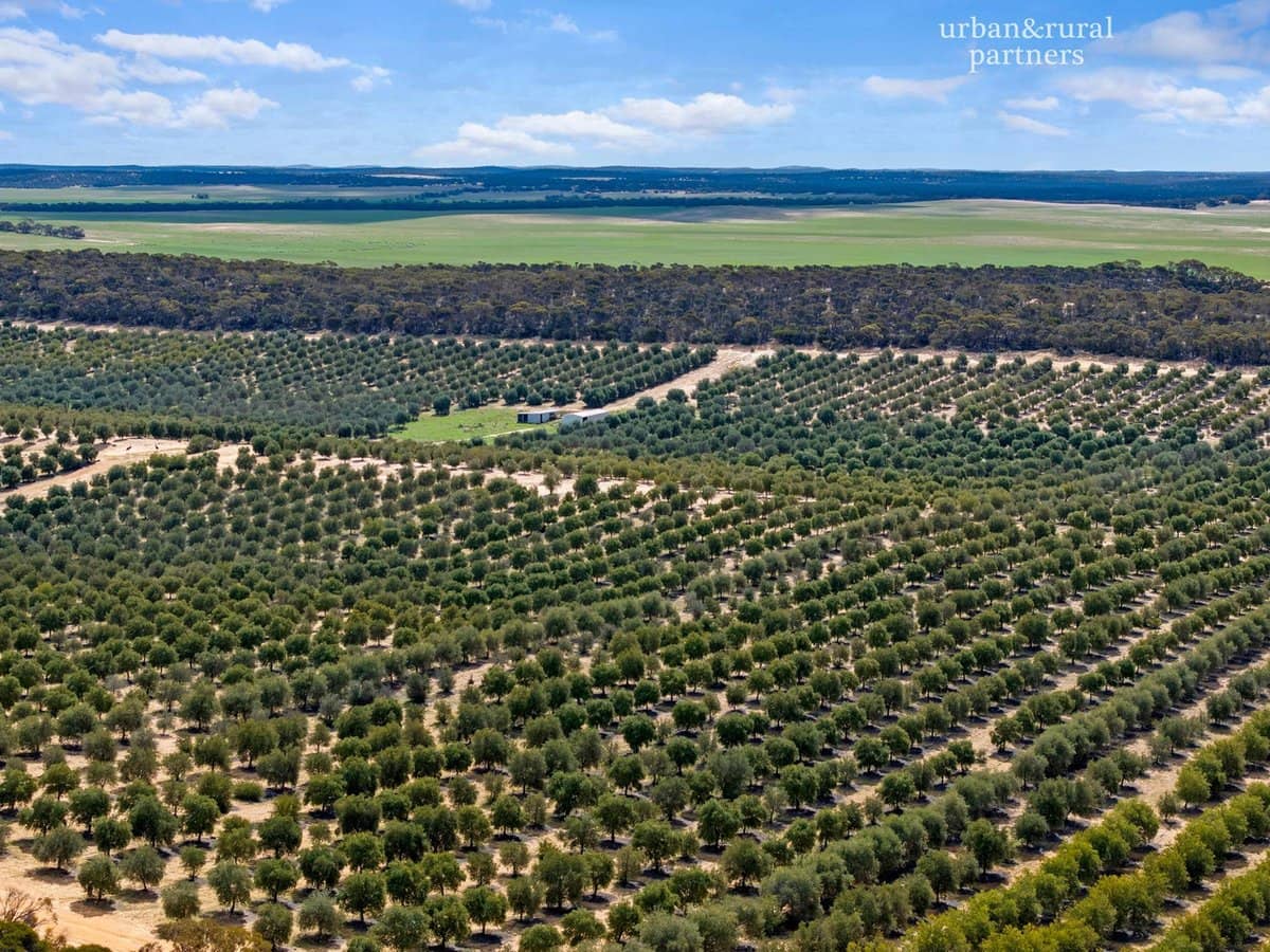 1575 Kringin Road, KARTE - Thumbnail 19