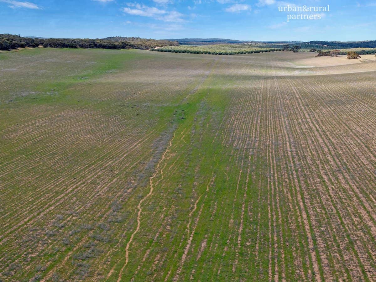 1575 Kringin Road, KARTE - Thumbnail 20