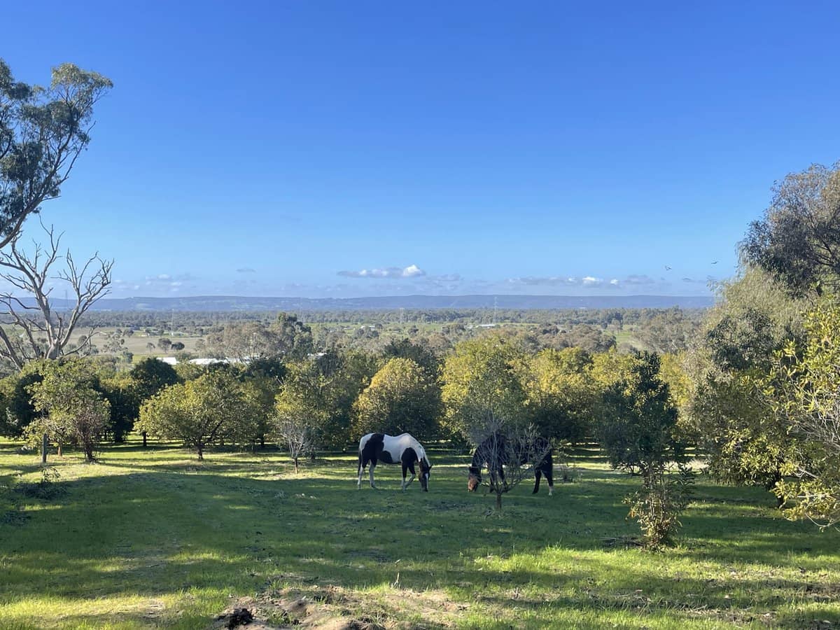 Doghill Road, BALDIVIS - Thumbnail 2