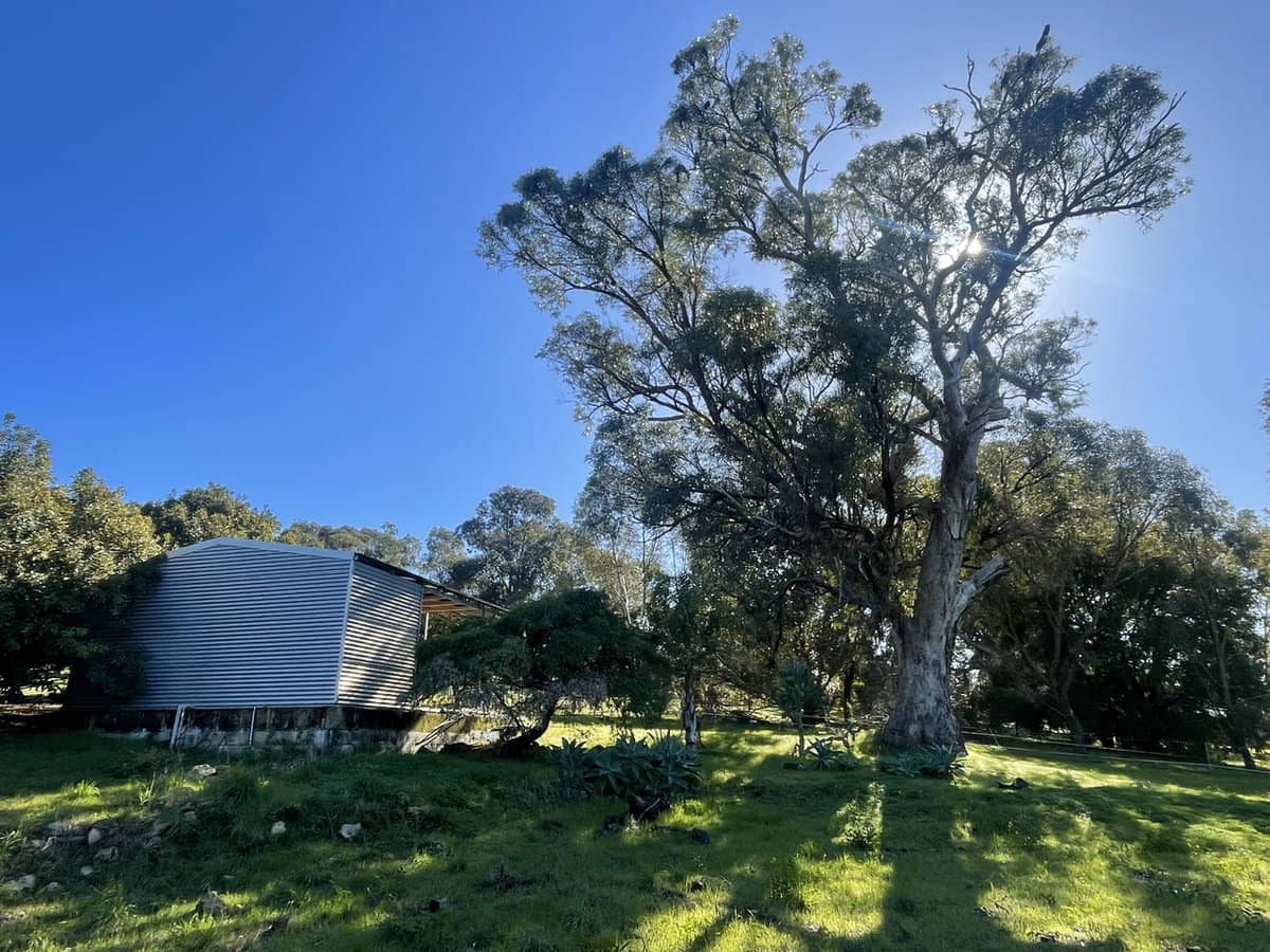 Doghill Road, BALDIVIS - Thumbnail 3