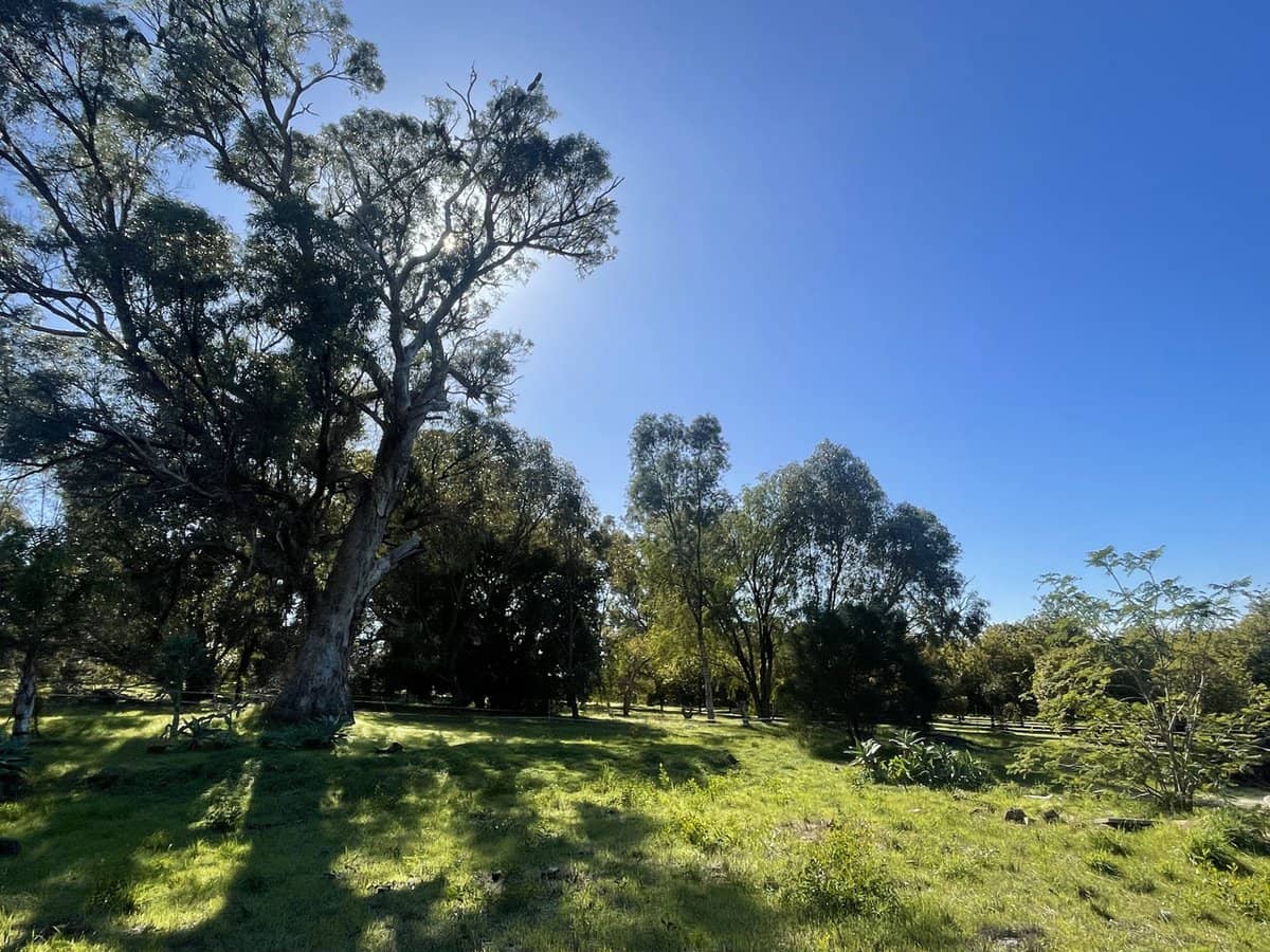 Doghill Road, BALDIVIS - Thumbnail 4