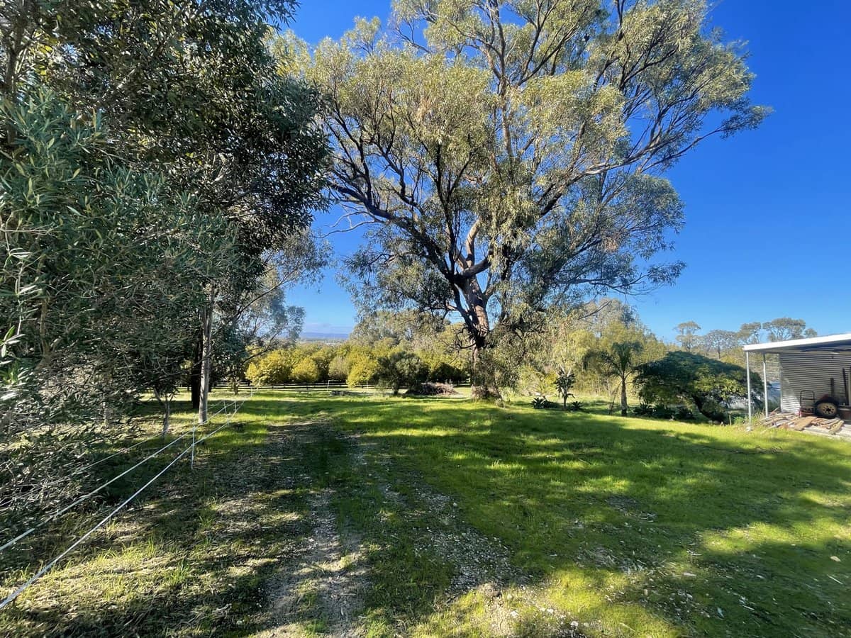 Doghill Road, BALDIVIS - Thumbnail 10