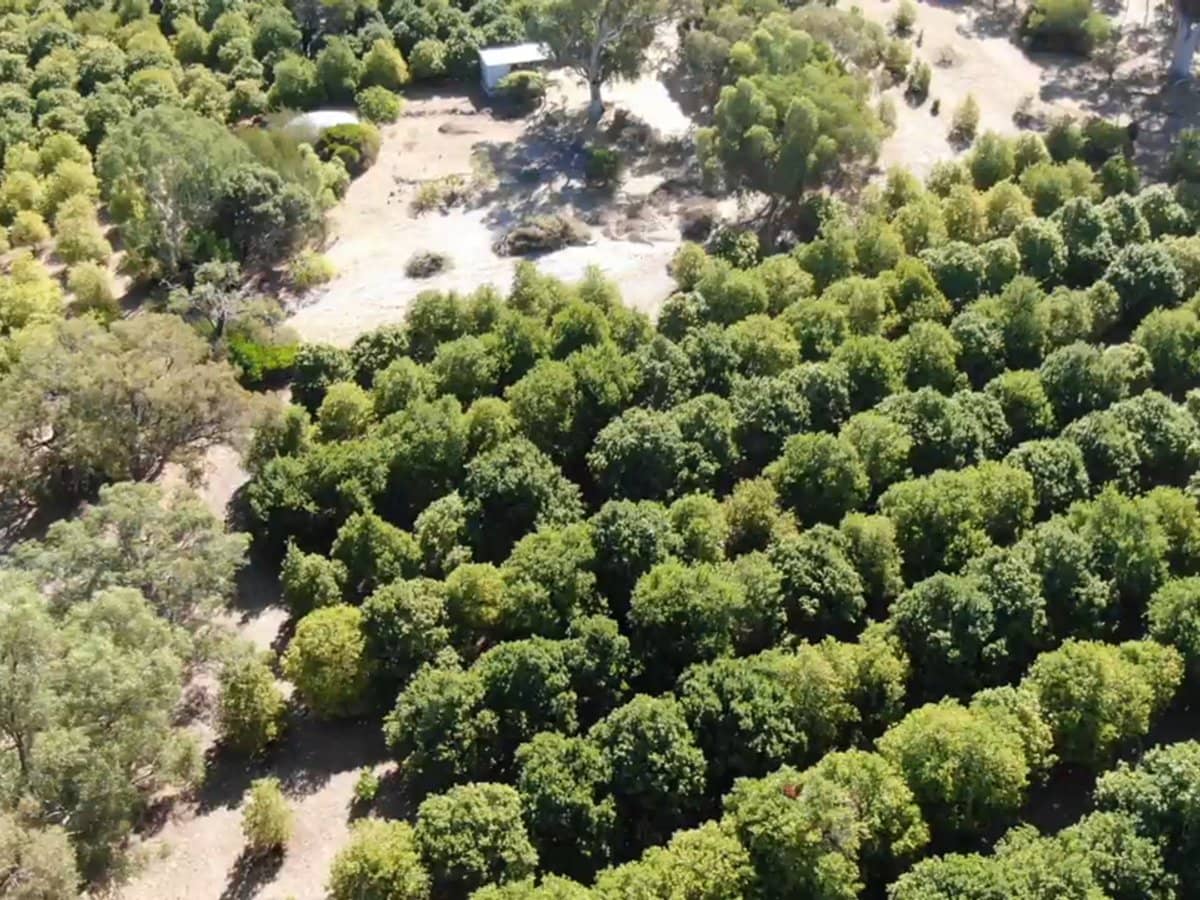 Doghill Road, BALDIVIS - Thumbnail 20