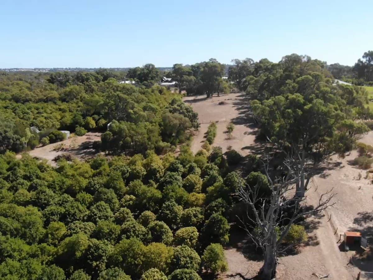 Doghill Road, BALDIVIS - Thumbnail 23