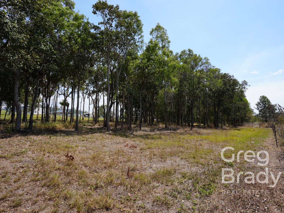 175 Moonlight Drive, SARINA - Thumbnail 15