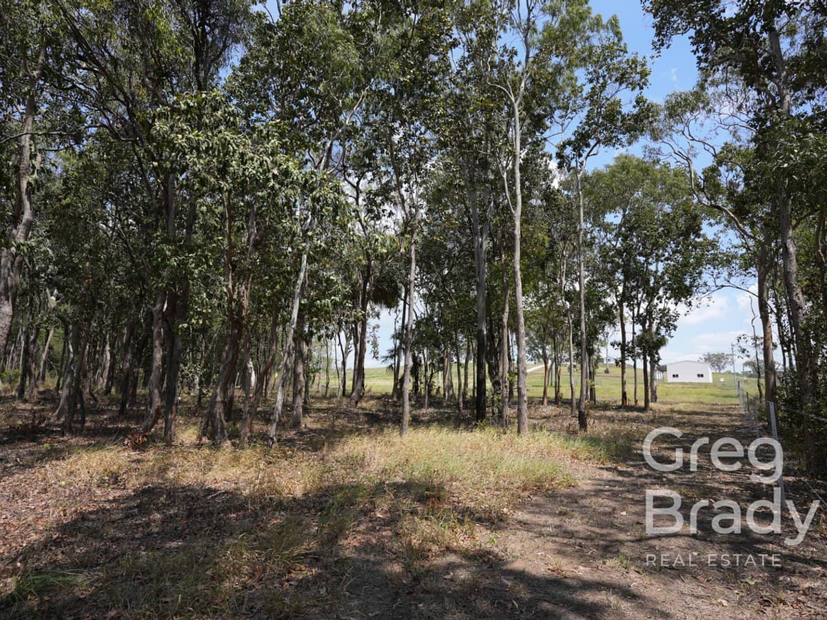 175 Moonlight Drive, SARINA - Thumbnail 16