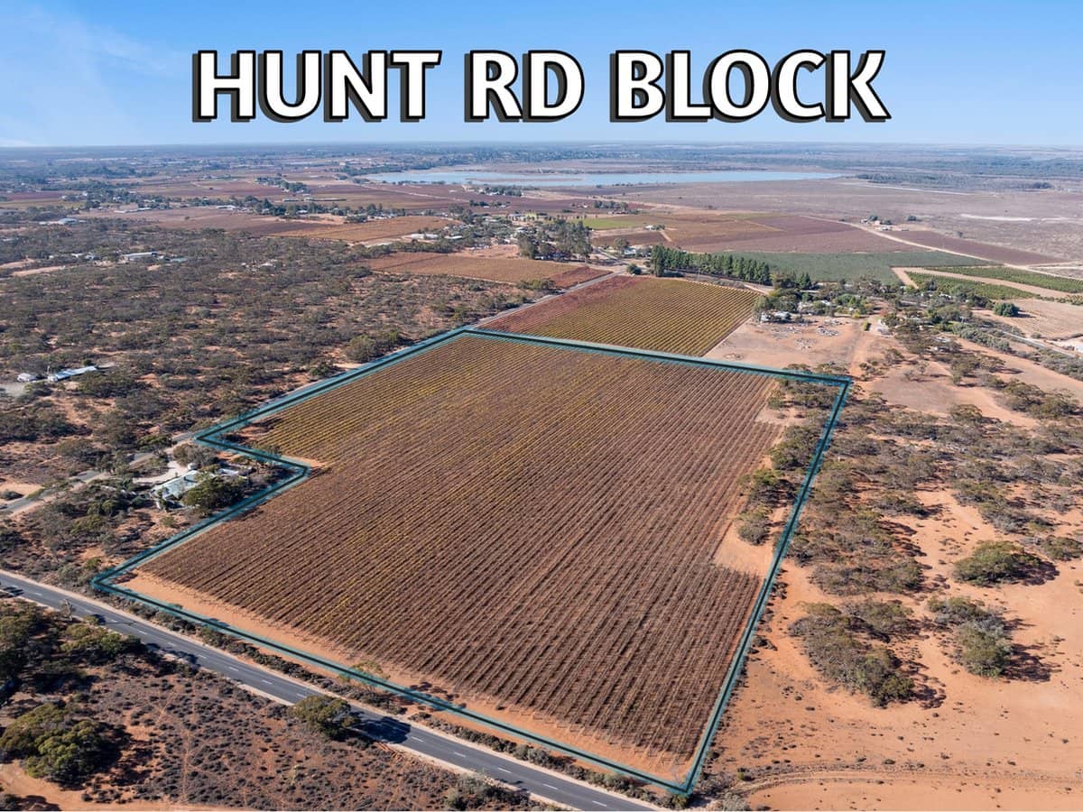 277 Winkie Road, WINKIE - Thumbnail 4