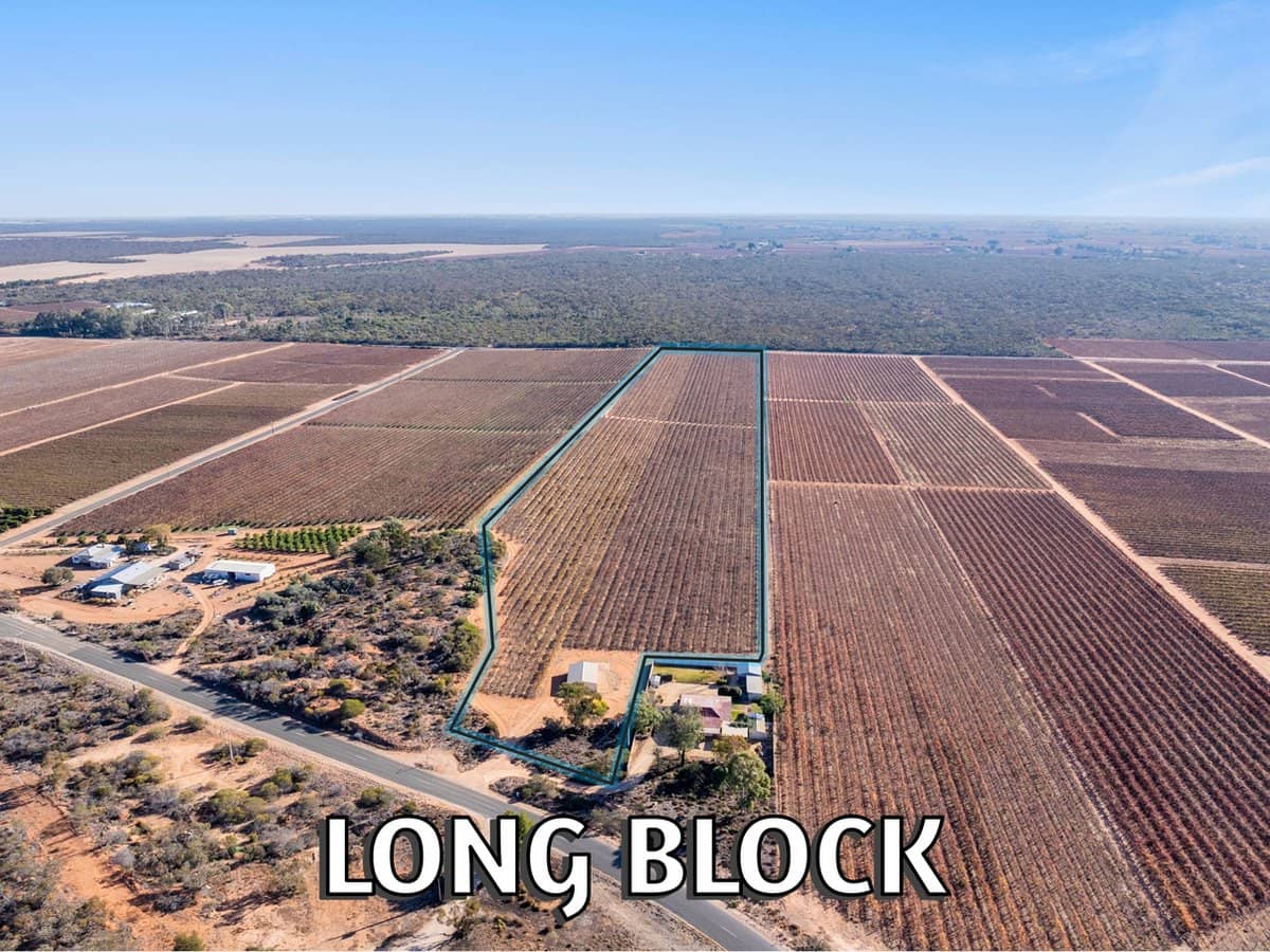 277 Winkie Road, WINKIE - Thumbnail 10