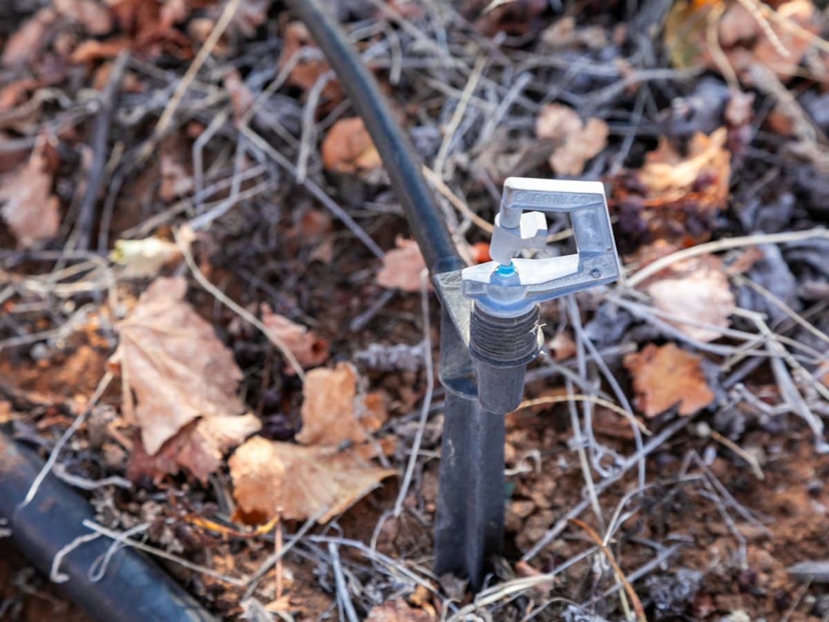 277 Winkie Road, WINKIE - Thumbnail 20