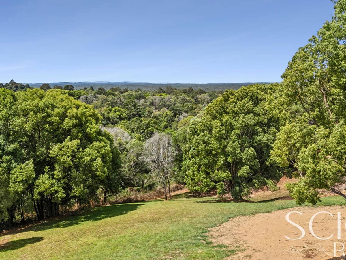 41 Tallowwood Place, BLACK MOUNTAIN - Thumbnail 3