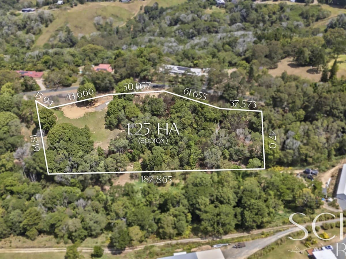 41 Tallowwood Place, BLACK MOUNTAIN - Thumbnail 7