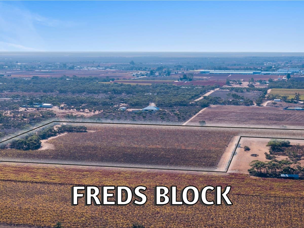 L151 Winkie Road, WINKIE - Thumbnail 2