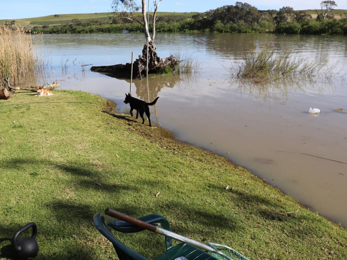 68 Graziano Road, BOWHILL - Thumbnail 4