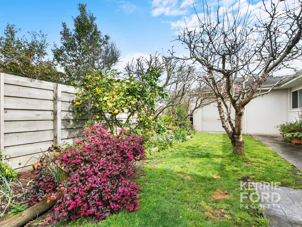 32 Kassandra Drive, TRARALGON - Thumbnail 25
