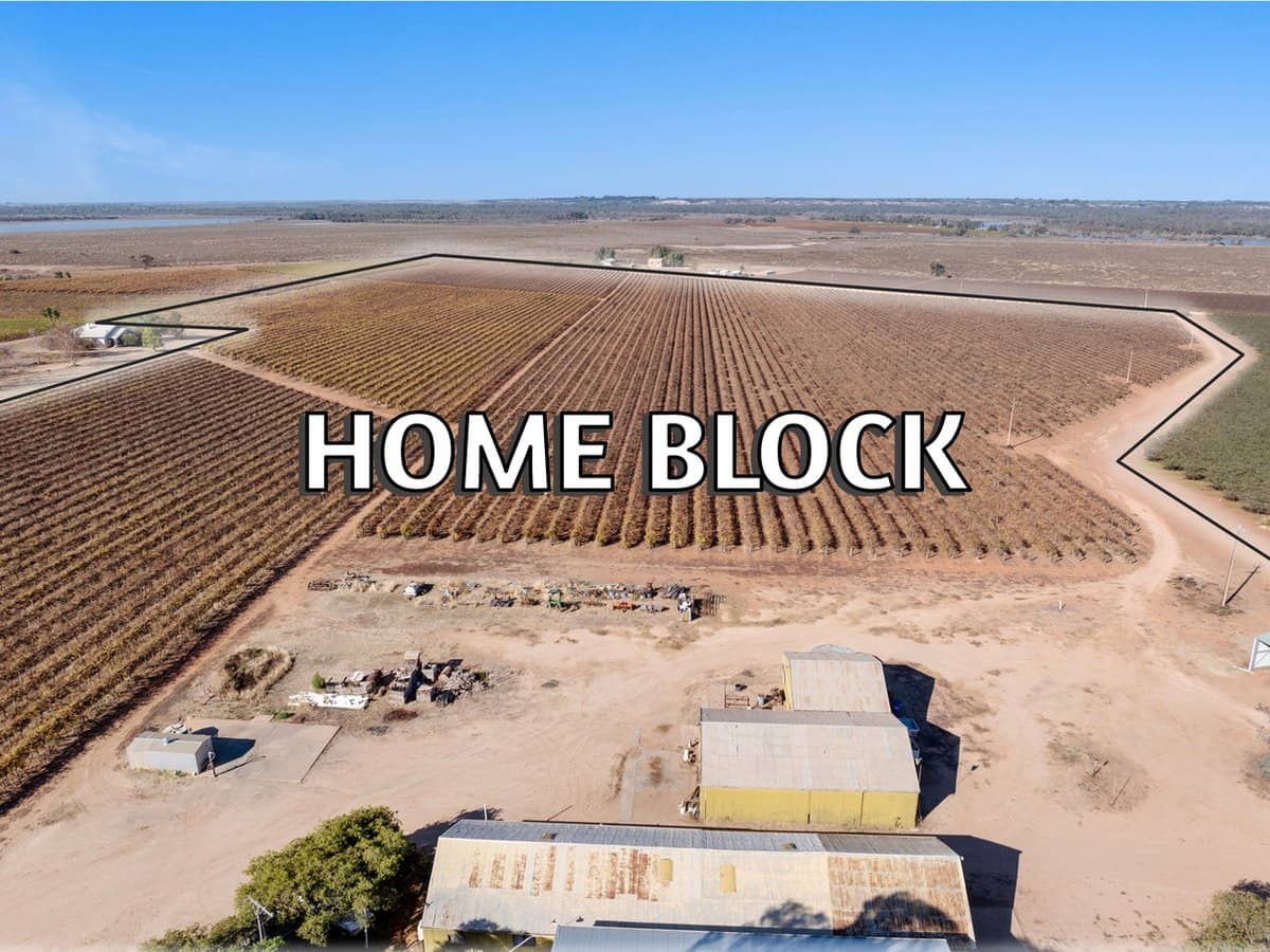 277a Winkie Road, WINKIE - Thumbnail 3