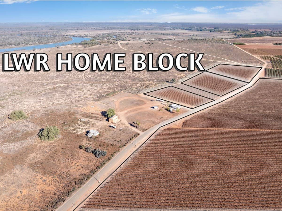 277a Winkie Road, WINKIE - Thumbnail 4