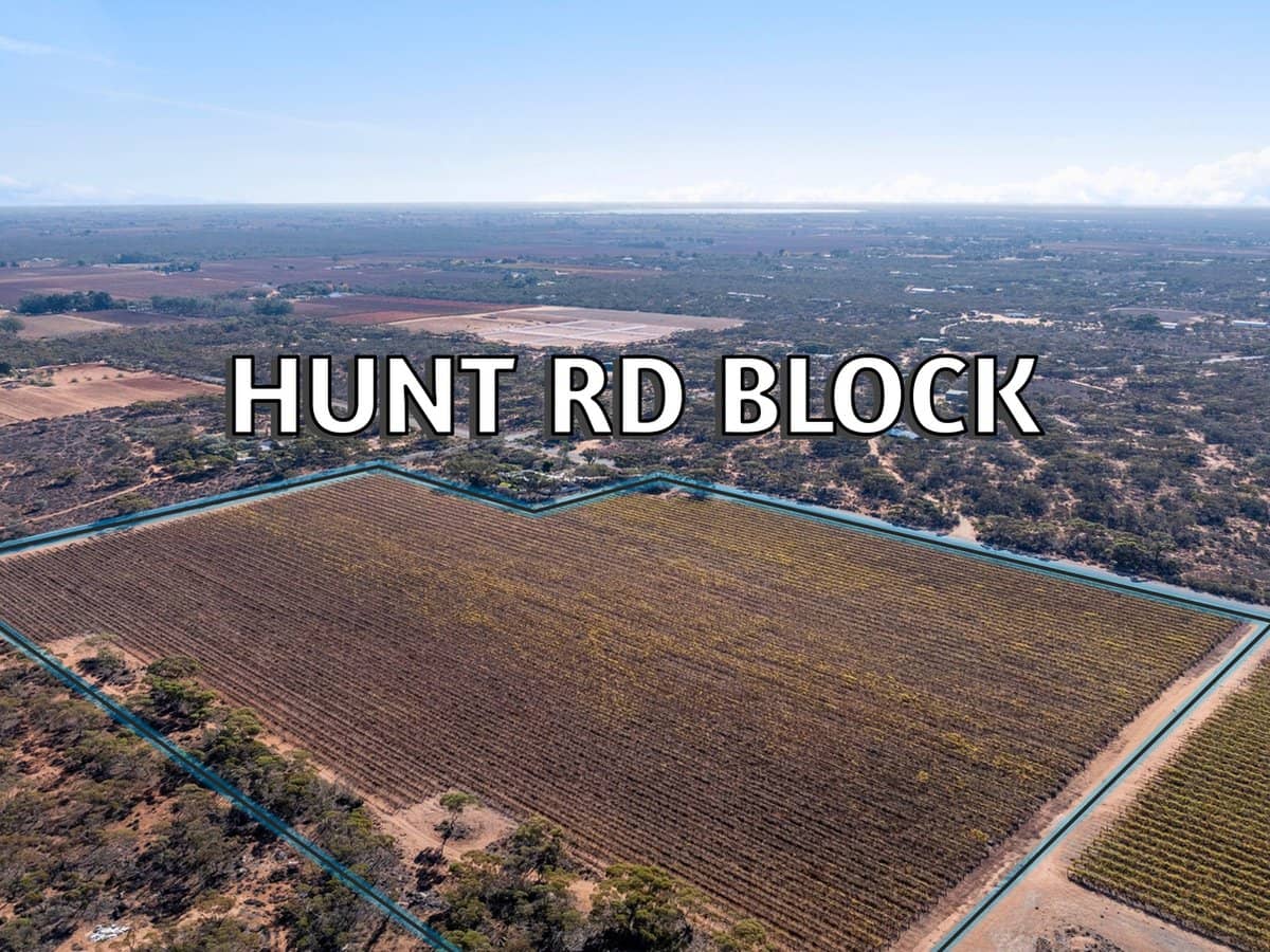 277a Winkie Road, WINKIE - Thumbnail 6