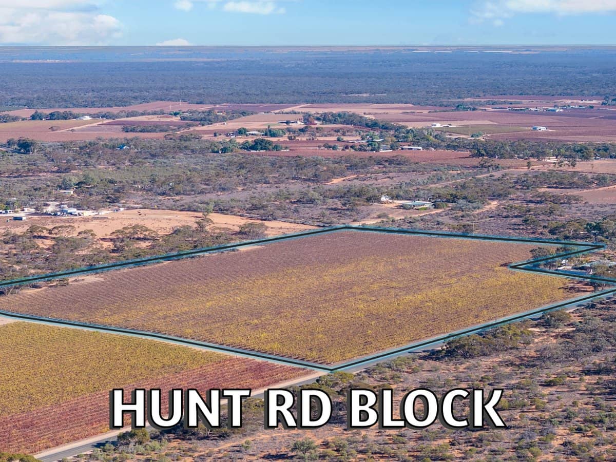 277a Winkie Road, WINKIE - Thumbnail 7