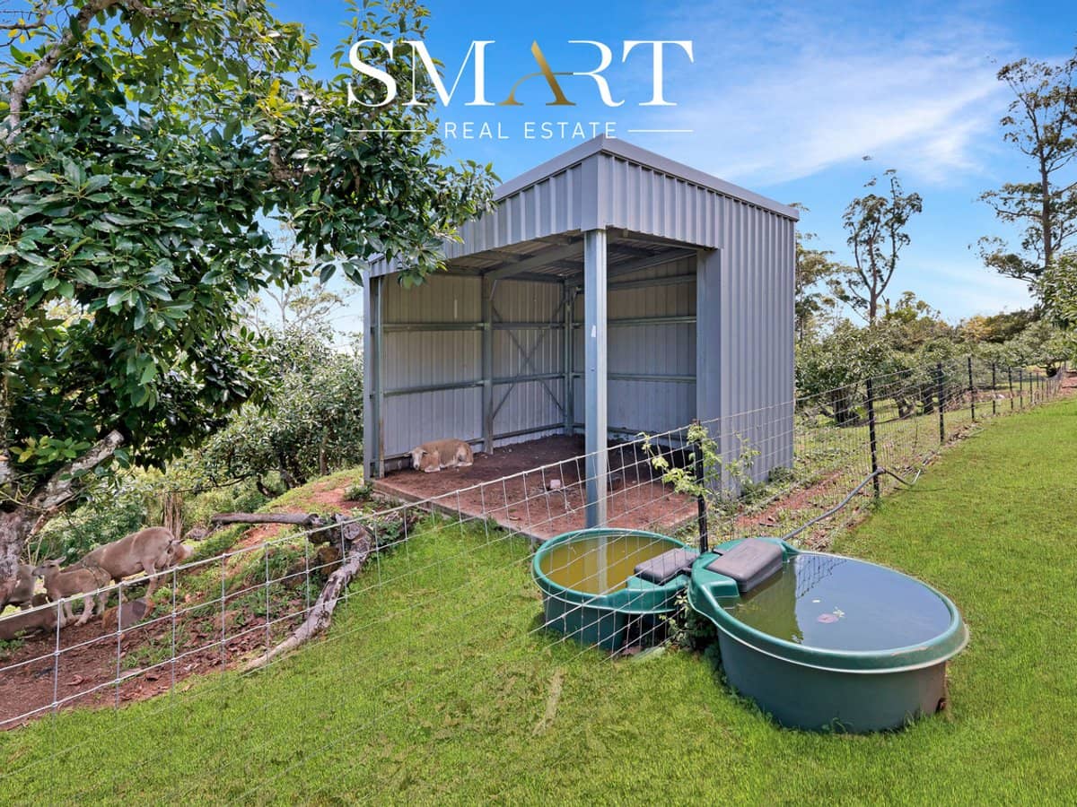 210-220 Macdonnell Road, TAMBORINE MOUNTAIN - Thumbnail 35