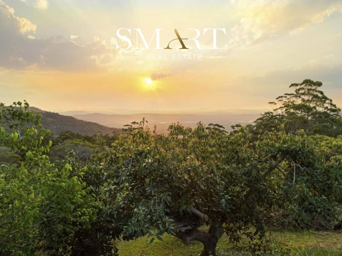 210-220 Macdonnell Road, TAMBORINE MOUNTAIN - Thumbnail 12