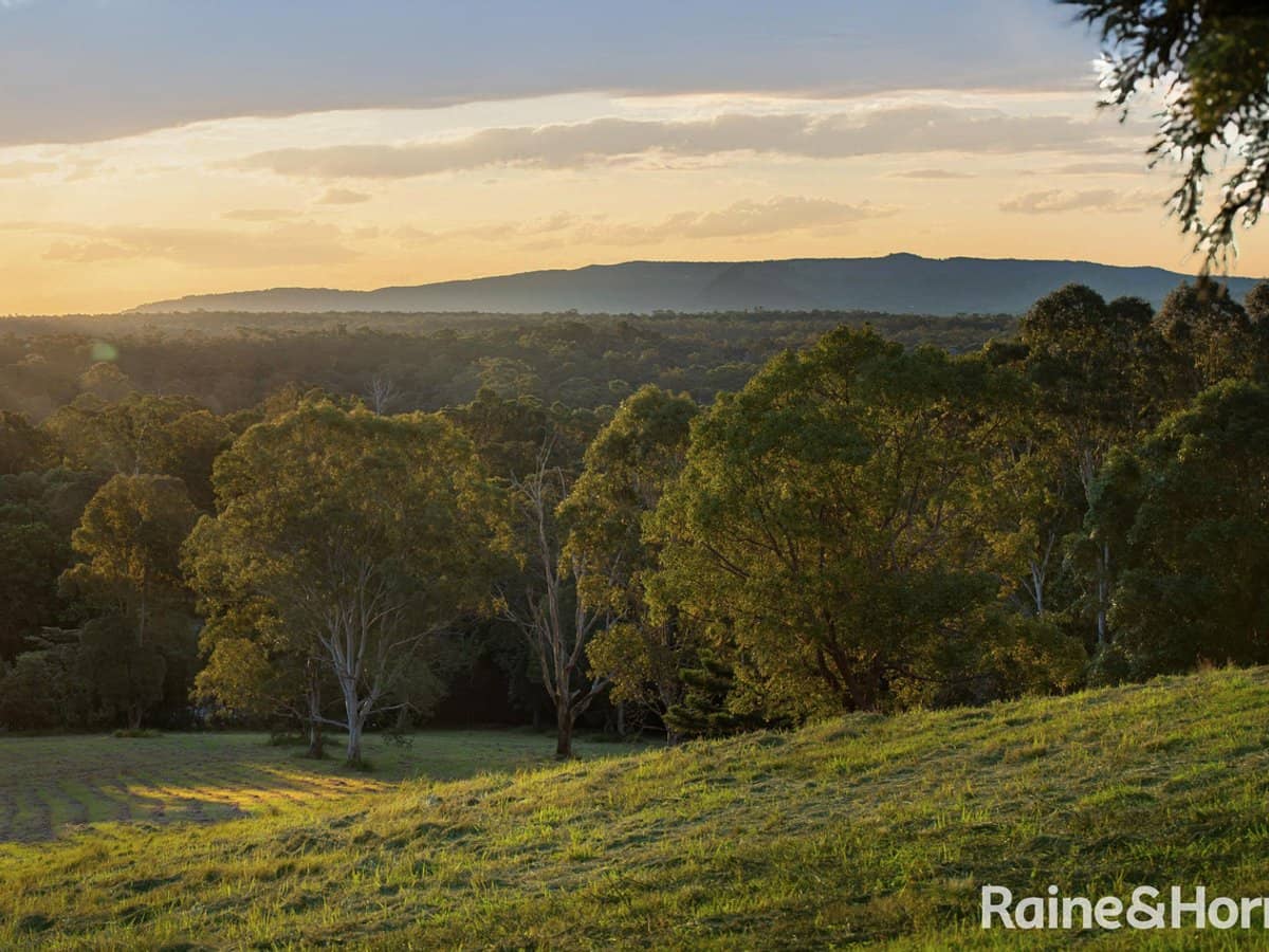 44 Hoy Road, LAKE MACDONALD - Thumbnail 4